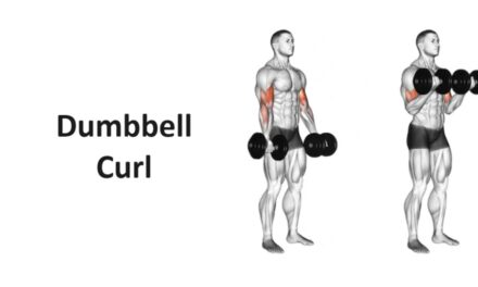 Dumbbell Curl: Technique, Benefits, Variations, and More Explained