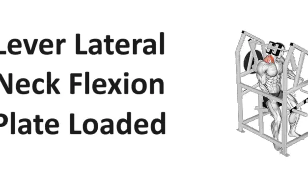 Lever Lateral Neck Flexion Plate Loaded: Technique, Benefits, Variations, and More Explained