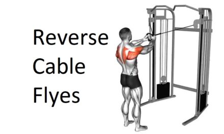 Reverse Cable Flyes: Technique, Benefits, Variations, and More Explained