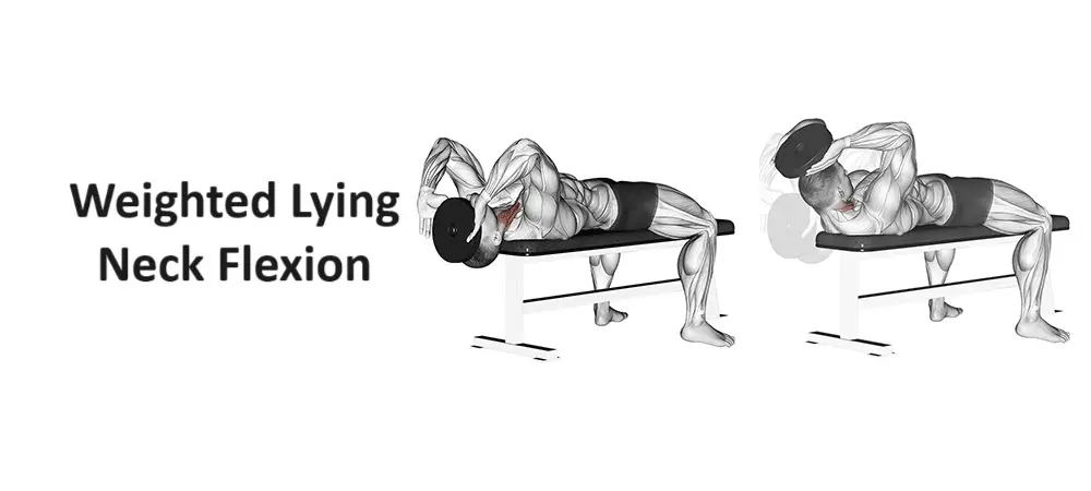 Weighted Lying Neck Flexion