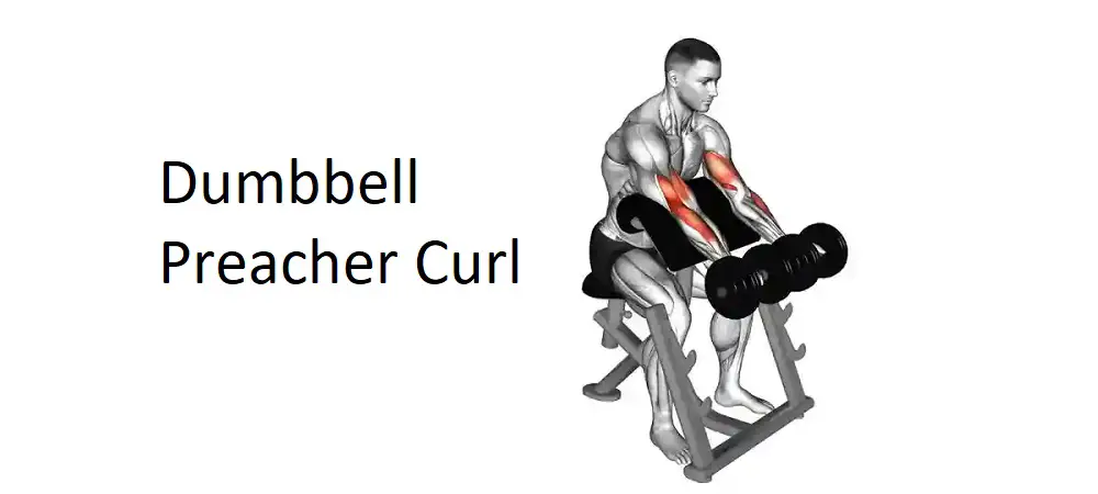 Dumbbell Preacher Curl: Technique, Benefits, Variations, and More Explained