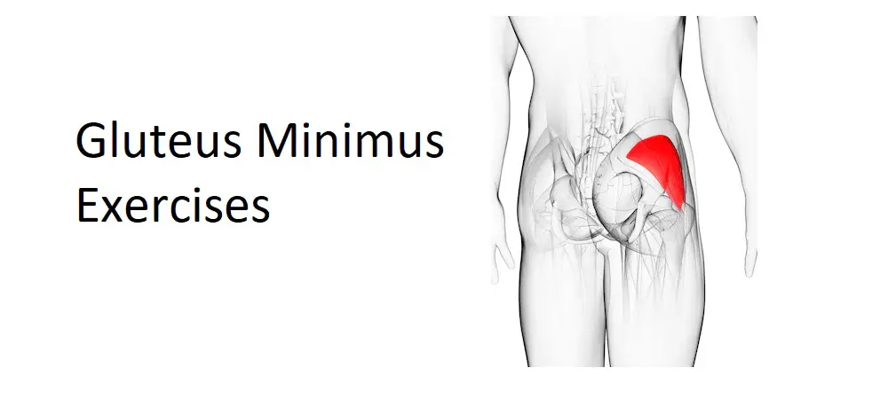 Gluteus Minimus Exercises: Strengthening Your Hip Stabilizer for Improved Mobility and Stability