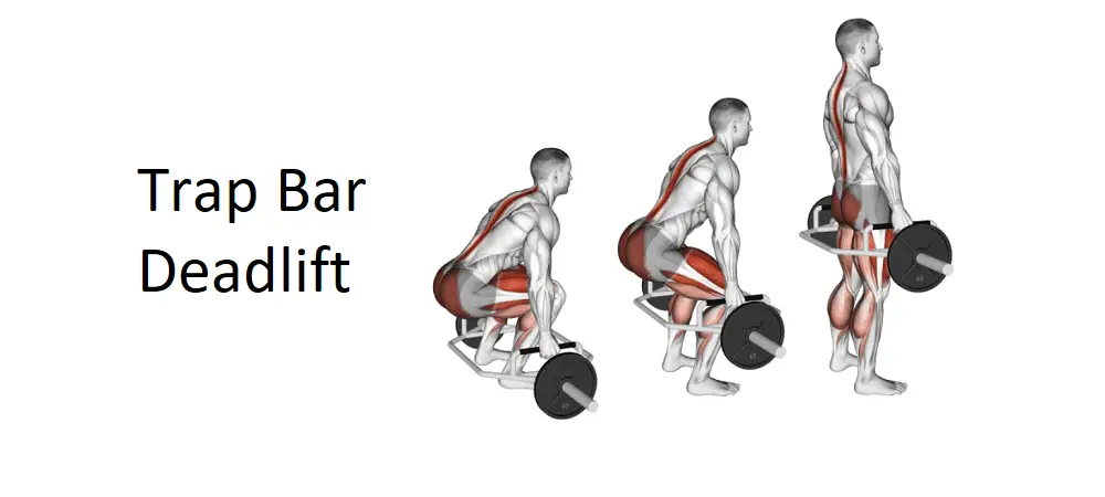 Trap Bar Deadlift: Technique, Benefits, Variations, and More Explained