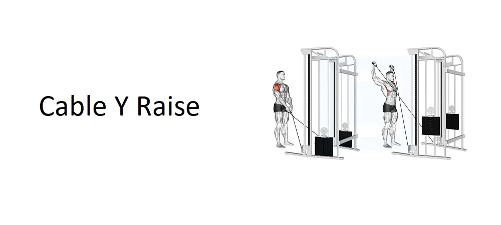 Cable Y Raise