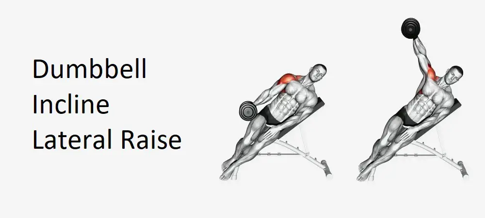 Dumbbell Incline Lateral Raise