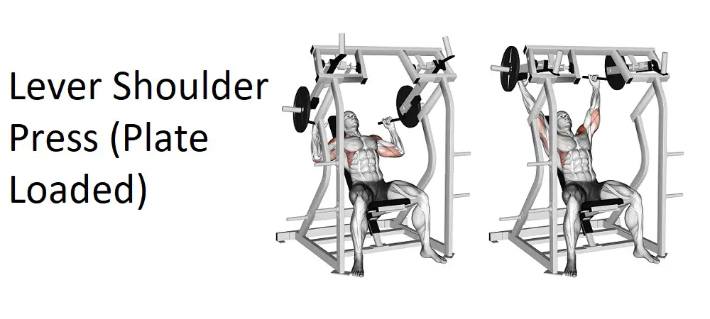 Lever Shoulder Press (Plate Loaded)