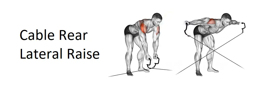 Cable Rear Lateral Raise