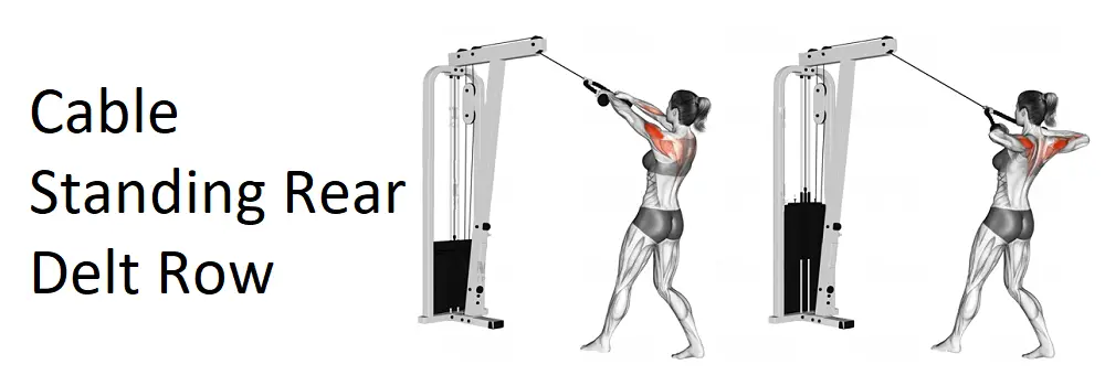 Cable Standing Rear Delt Row