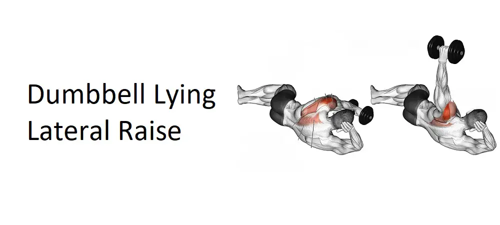 Dumbbell Lying Lateral Raise