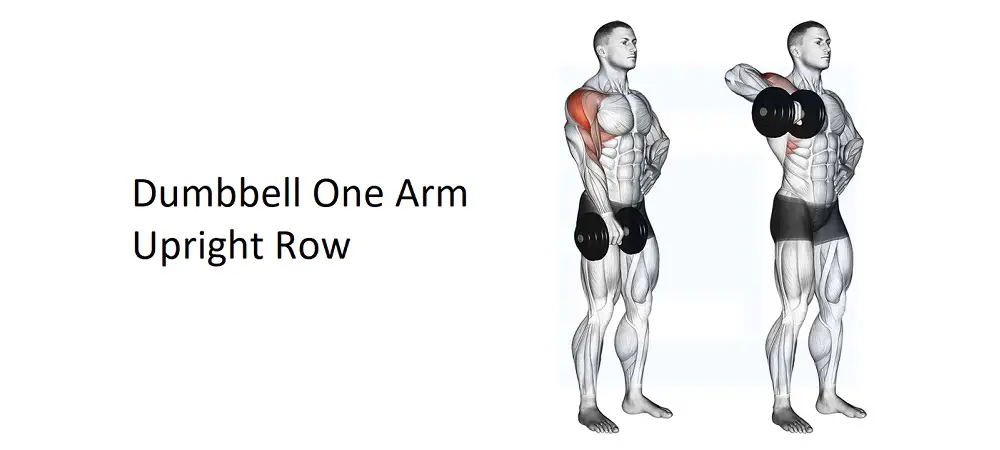 Dumbbell One Arm Upright Row