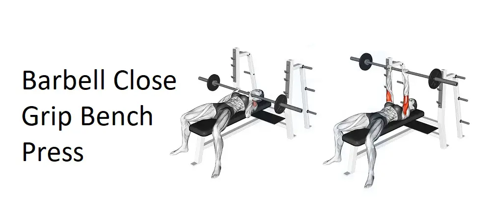 Barbell Close Grip Bench Press