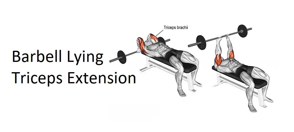 Barbell Lying Triceps Extension