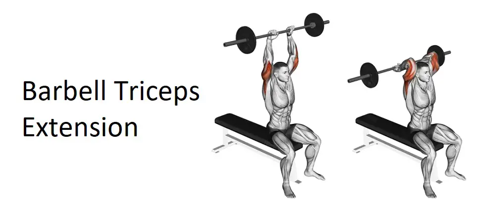 Barbell Triceps Extension