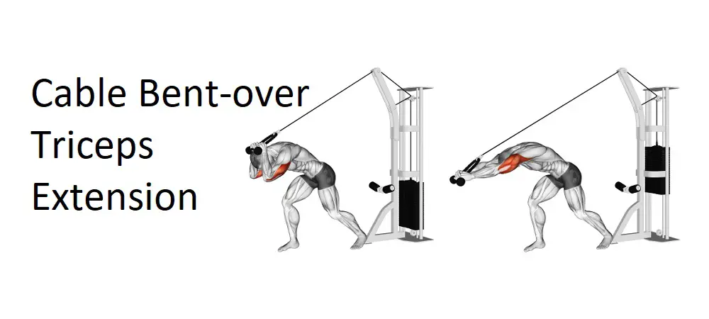 Cable Bent-over Triceps Extension