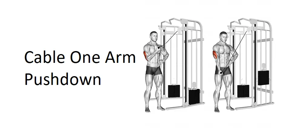 Cable One Arm Pushdown