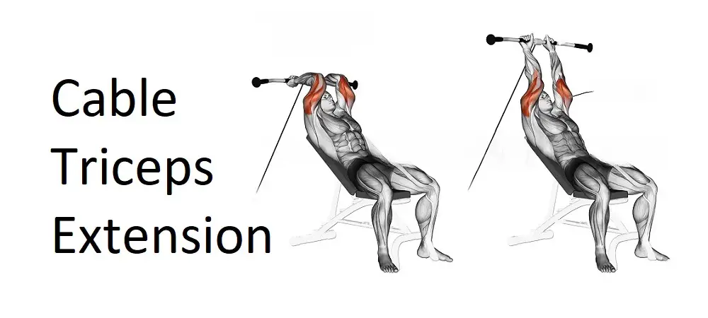 Cable Triceps Extension