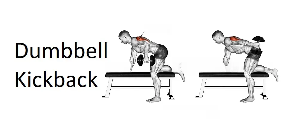 Dumbbell Kickback