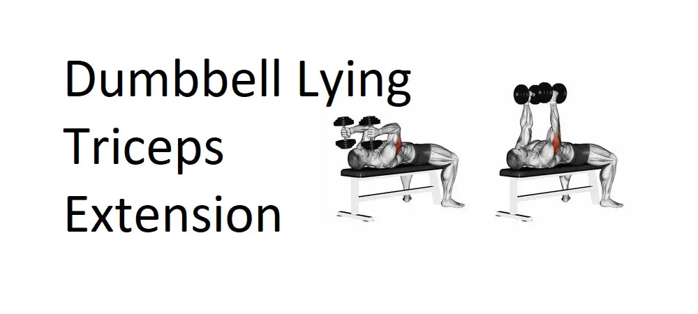 Dumbbell Lying Triceps Extension