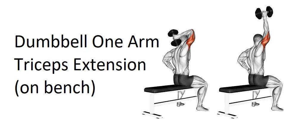 Dumbbell One Arm Triceps Extension (on bench)