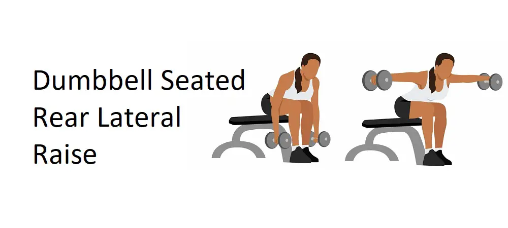 Dumbbell Seated Rear Lateral Raise