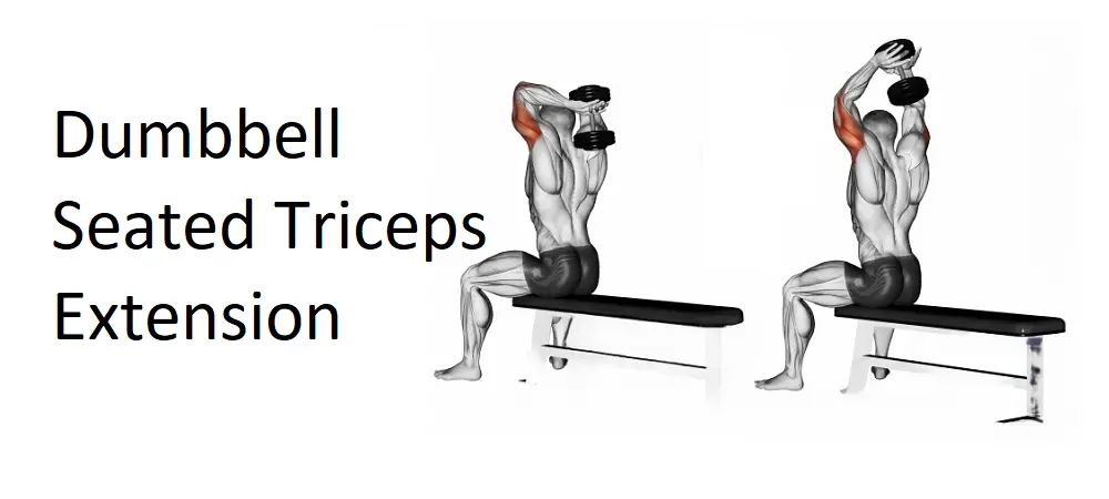 Dumbbell Seated Triceps Extension