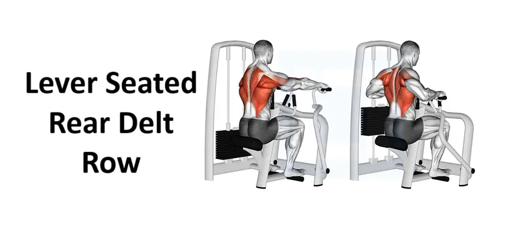 Lever Seated Rear Delt Row